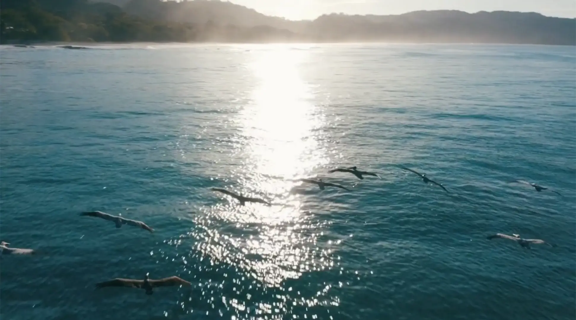 Funky Monkey Lodge - Santa Teresa